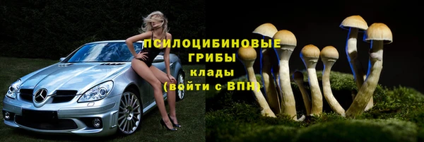 мяу мяу мука Михайлов