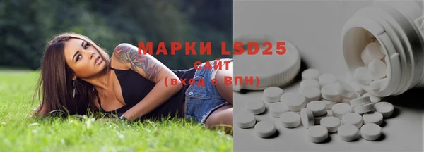 мяу мяу мука Михайлов