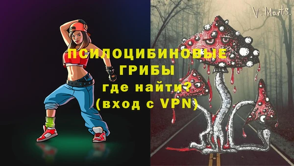 мяу мяу мука Михайлов