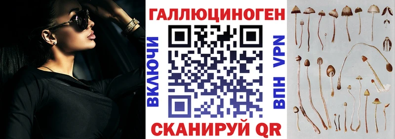 Купить где  Шахунья  Галлюциногенные грибы мухоморы 
