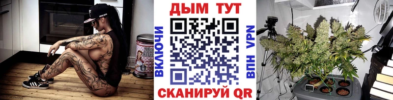 Купить закладки  Шахунья  Шишки марихуана планчик 